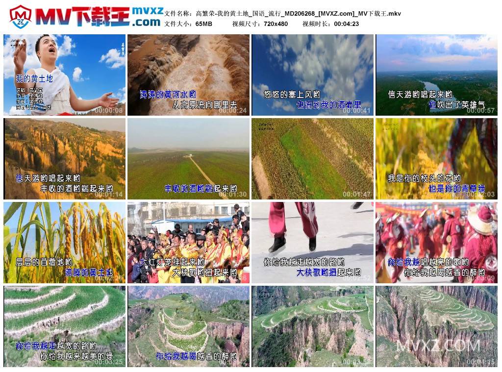 高繁荣-我的黄土地_国语_流行_MD206268